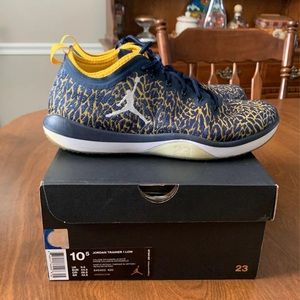 Jordan Michigan Trainer 1 sneaker
